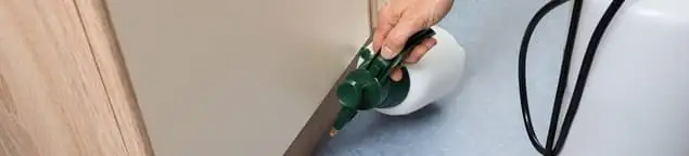 Bed bug exterminator treating baseboards and cracks with targeted spray in Albuquerque, NM