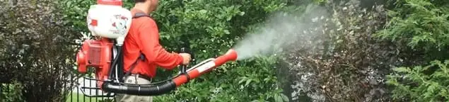 Mosquito control technician fogging shrubs and landscaping for mosquito treatment in Albuquerque, NM