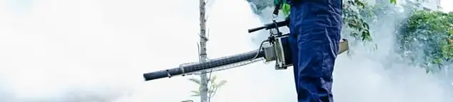 Pest control technician fogging an outdoor area for insect control in Albuquerque, NM