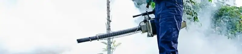 Pest control technician fogging an outdoor area for insect control in Albuquerque, NM