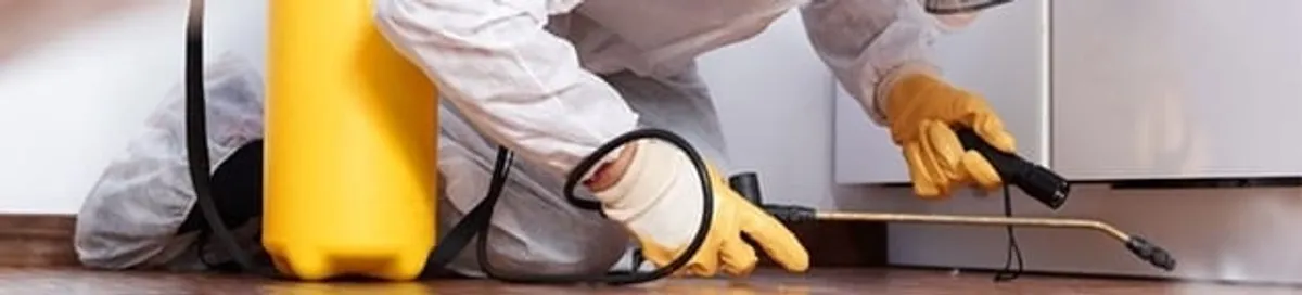 Roach exterminator treating cracks and crevices along kitchen baseboards in Albuquerque, NM