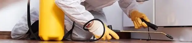 Roach exterminator treating cracks and crevices along kitchen baseboards in Albuquerque, NM