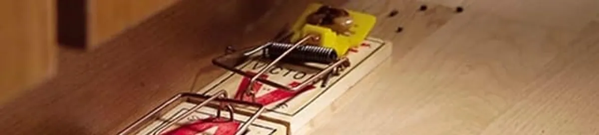 Rodent trap set indoors for rodent control and prevention in Albuquerque, NM