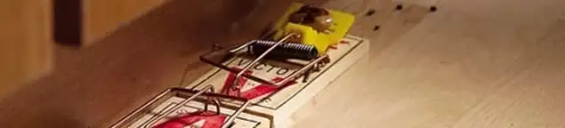 Rodent trap set indoors for rodent control and prevention in Albuquerque, NM